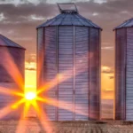 BTAL11: O que esperar do BTG Pactual Agro Logística em 2025? BTAL11