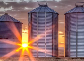 BTAL11: O que esperar do BTG Pactual Agro Logística em 2025? BTAL11