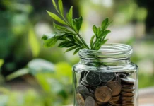 6 Hábitos e Ideias para Ter uma Vida Financeira Tranquila Vida Financeira Tranquila